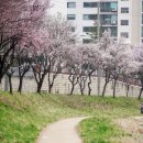 살구꽃가든 이미지