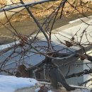 (사)한국건강관리협회건강증진의원 이미지