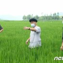 숙천약국 이미지