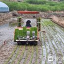 동촌마을 이미지