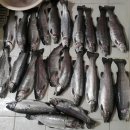 직천낚시터 이미지