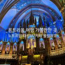 e-푸른마트 | 캐나다 몬트리올 여행 노트르담 대성당 아우라쇼 AURA 카페 올림피코 기념품 숍 대형마트