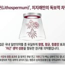 (주)우리생약 네이버블로그