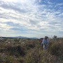 동광리-16 이미지