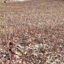 용진1농장 이미지