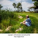 푸른잔디 이미지