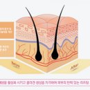 마법의원 이미지