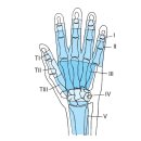 wrist complex, hand and finger 관절가동, 수기저항운동, 자가운동, 기능적 운동법 - 정리중 이미지