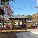 메밀꽃유치원 이미지