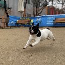 서일동물병원 이미지