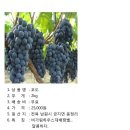 현호농장 이미지