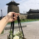 생활플라워 이미지