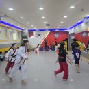 경희대 석사 우리 태권도장 이미지