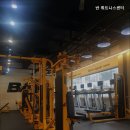 반휘트니스