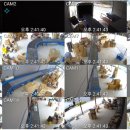 (주)씨앤아이정보통신 이미지