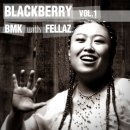 비엠케이(BMK) 이미지