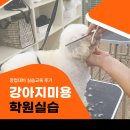 노노스창업교육학원 | 강아지미용 학원 창업대비 실습 교육 후기