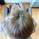 개그스토리마트(의정부중앙점) | [의정부미용실 / 회룡역미용실] 중단발 허쉬컷, 레드브라운 염색 후기 @레드스토리 호원점/ 서아 디자이너