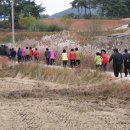 임성규농장 이미지