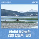 사창3리 이미지