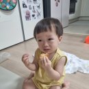 누우래 | 8.2 오늘일기