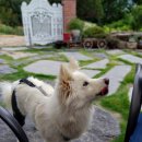 견불동정원 이미지