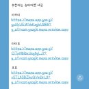 신사귀족약국 | [일본] 교토 투어 추천 : 인디고트래블/ 은각사 지존 멋짐 !!! (5점 만점임 그리고 맛집 진짜 스무스...