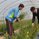 금산 영농조합법인 이미지