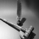 S동물병원 이미지