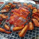 원조산호아나고곰장어 이미지