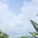스칼라로드디스커버리 협동조합 네이버블로그