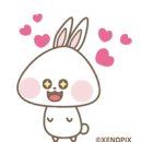 주식회사 제노픽스 이미지