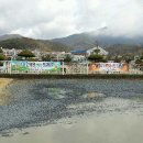 초동초등학교 이미지