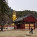 태평교