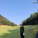 볼빅고양 이미지
