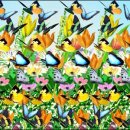 매직아이 - 군산시 | 매직아이