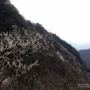료코우 티스토리