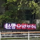 새소망전국요양보호사교육원