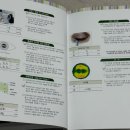 강남조은눈안과의원 이미지