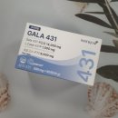 호박 | 호박팥차 후기 붓기 과연 빠질까