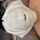 연세프라자8차 | 뷰티)원당동피부관리 샤인스킨케어 받고온 리얼후기