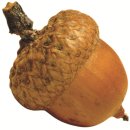 아트인네이처미술학원 이미지