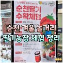 신대농장 이미지