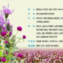 펜션 다알리아 이미지