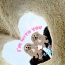 다보상사 | 보홀 호핑투어 놀다보홀 내돈내산 고래상어 거북이 스노클링