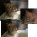 거제역 5번출구 앞 이미지