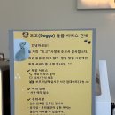 월계역 1번출구 | 노원 애견동반카페 월계역 브런치카페 도고 내돈내산 후기