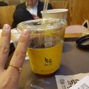 놀숲 강남대성학원점 네이버블로그