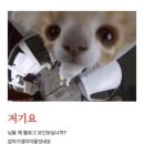피에이비 | 너의 의지가 새벽을 이끈다