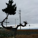 라온힐펜션 이미지